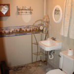 621-duffield-basement-bathroom